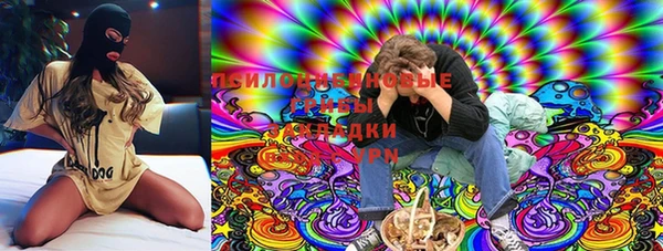 стафф Абинск