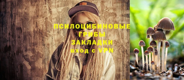 круглые Абаза