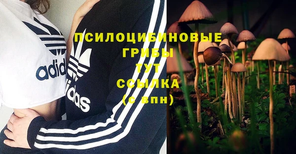 круглые Абаза